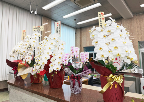 西新井感謝祭