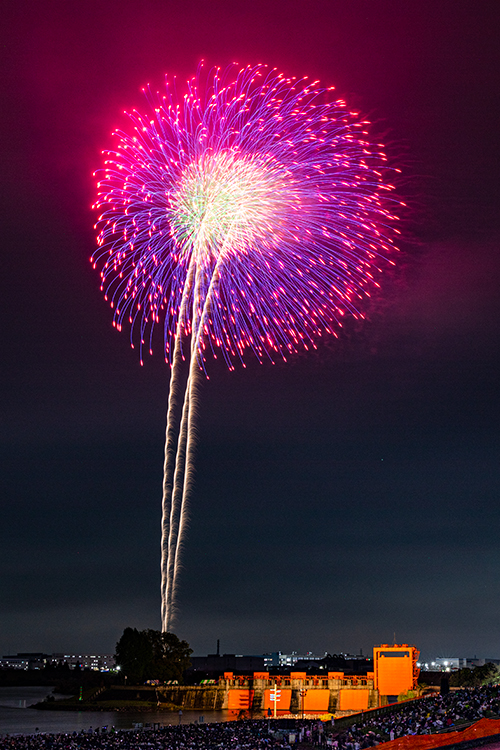 RED×BLUE SPARKLE GATE 2026
