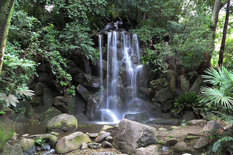 名主の滝公園