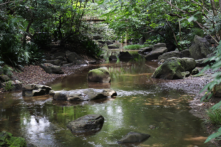 名主の滝公園 -渓流-