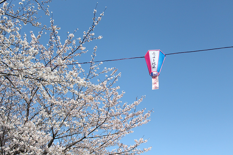 飛鳥山公園