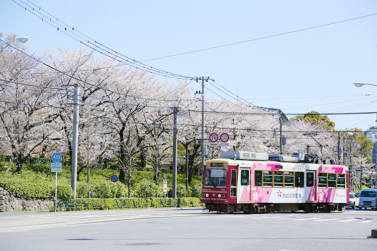 飛鳥山公園 -遊具-